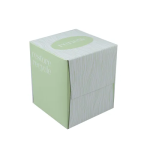 TOW$ Facial Tissue Box