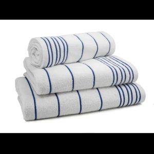TOW$ Pool Towel